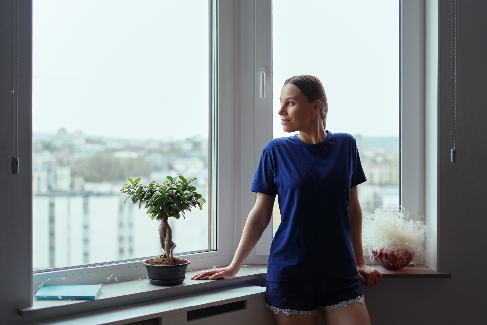 Phoenix Window Styles