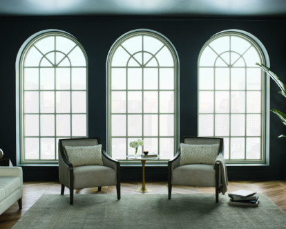 Phoenix Picture Windows